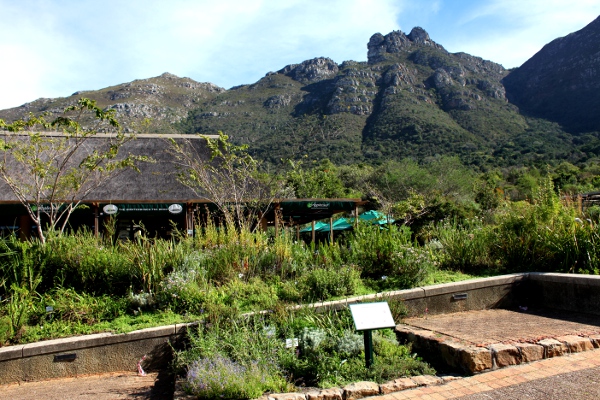 Kirstenbosch restaurant